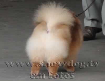 Clique sobre a foto para fechar